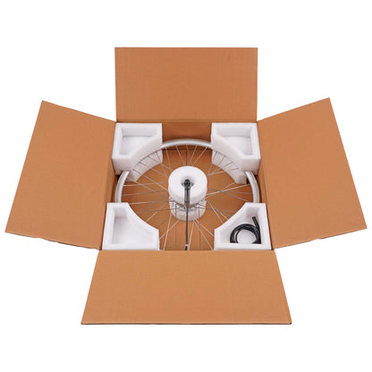 Windmill | E-bike hub motor rear wheel, silver, 20', 36V/250W, electric bike, pedelec