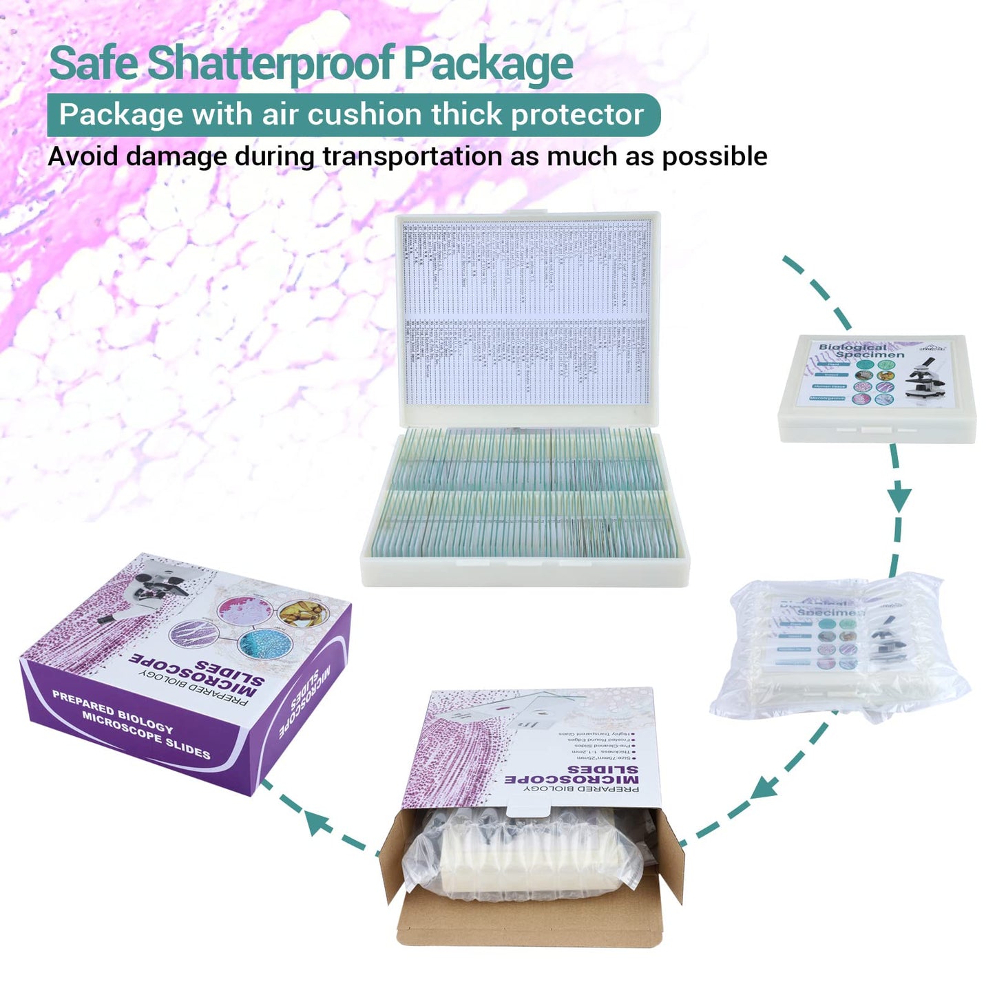 100 microscope slides specimens, microscope slides with biological samples, insects, plants, human cells for children, students, education, and scientific research.