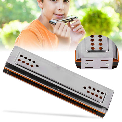 24 Holes C & G Key Double-sided Harmonica, Tremolo Harmonica with Box Musical Instrument for Beginners