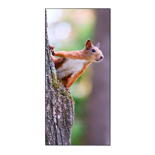 banjado® Magnetic Board 37 x 78cm / Metal Magnet Board/Memo Board/Pin Board Magnetic Board for Kitchen, Office, Kids Room including 4 Magnets & Mounting Kit - Squirrel Design