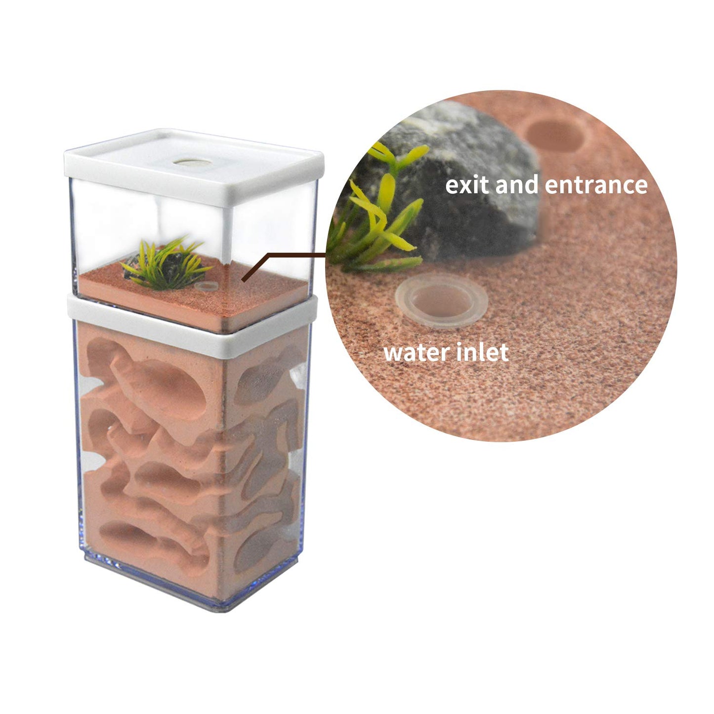 aleawol Natural Ant Farm Ant Nest Formicarium made of plaster Transparent Ant House Ant Breeding Box Ant Terrarium House Ant Farm Ant Nest Habitat