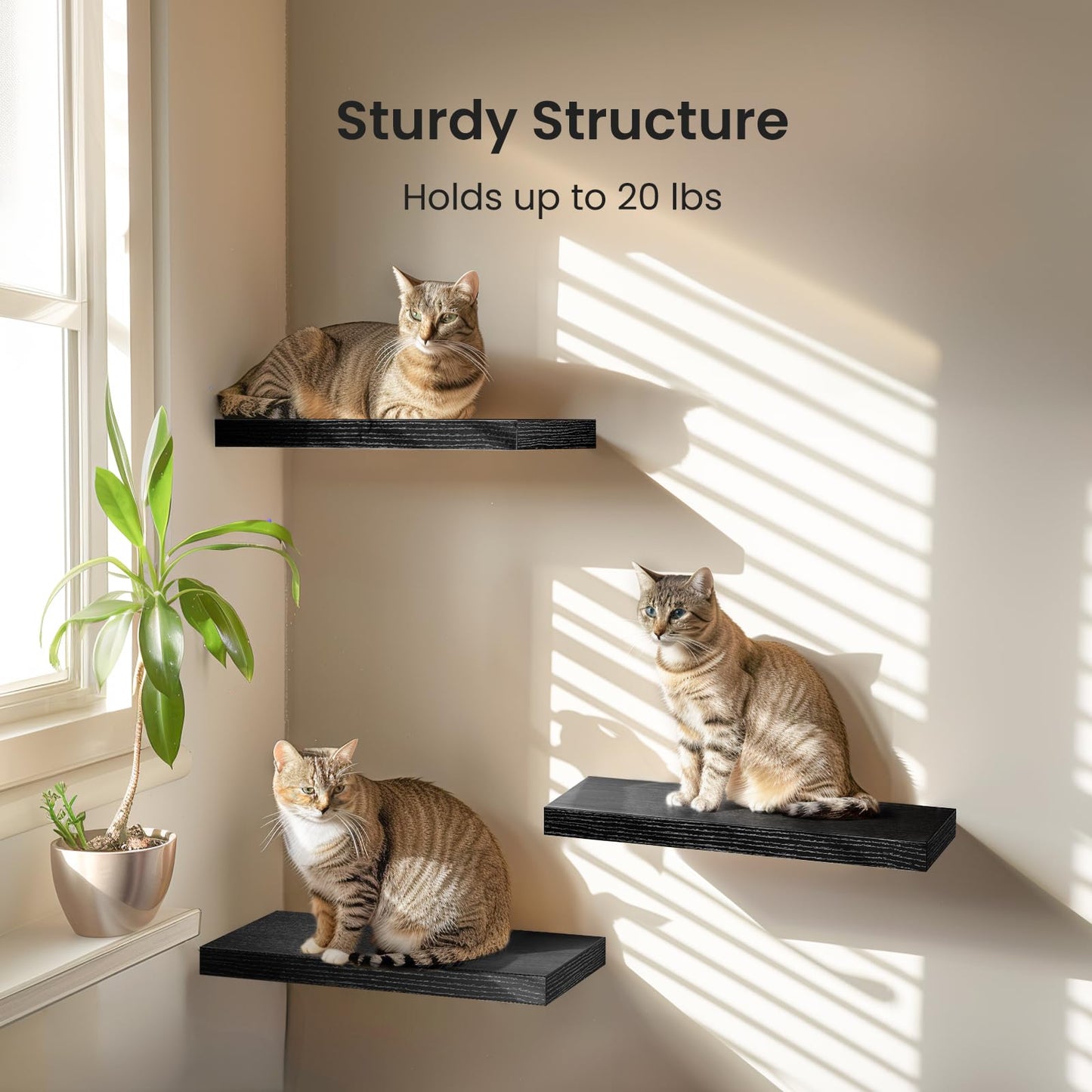 STOREMIC wall shelf black, set of 3 wall shelves, black wall shelf can hold up to 10 Kg, modern decorative display shelves for more space L40 x W14 cm for bathroom, office, living room