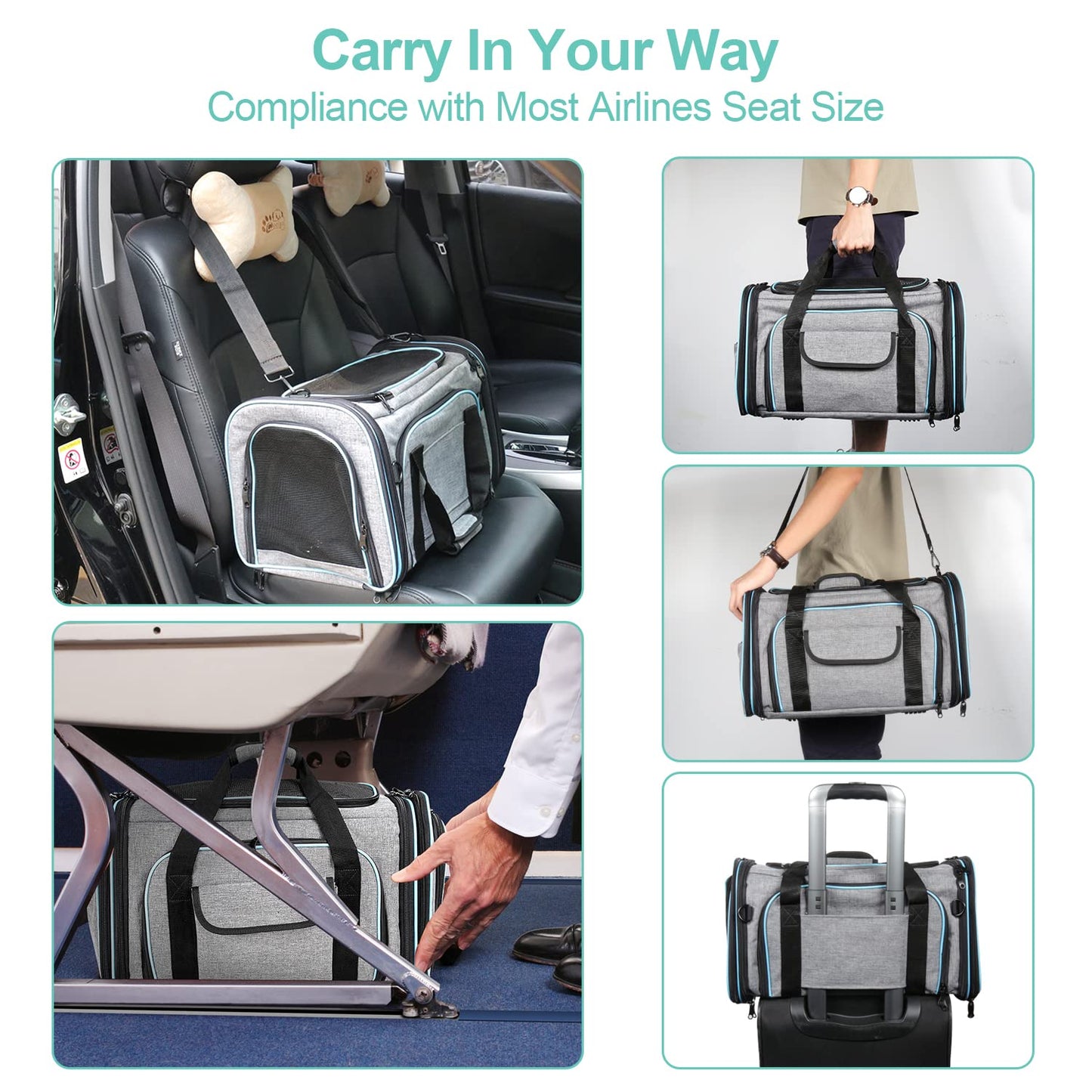 BERTASCHE Transport bag for cats Small dogs Foldable Cat carrier Transport box for plane Car Travel