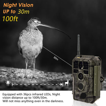 BlazeVideo WiFi Trail Camera with App, Wildlife Camera Night Vision Photo Trap 64MP 1296P Connect through APP Bluetooth Antenna with Night Vision Motion Sensor.