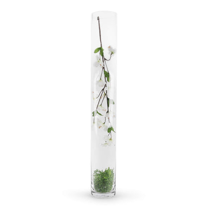 WGV Vase, cylindrical, 71 cm, transparent