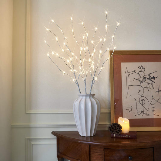 Eambrite decorative branch lights illuminate white birch branch stakes with 60 LED lights for outdoor and indoor decor for Christmas, Easter, Halloween, and parties.