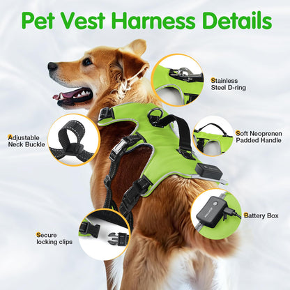 Jewyow Dog Harness Glowing, Rechargeable LED Dog Harness, LED Harness for Dogs with Soft Handle, 3 Adjustable Modes, Waterproof for Medium, Large Dogs, Green-XL