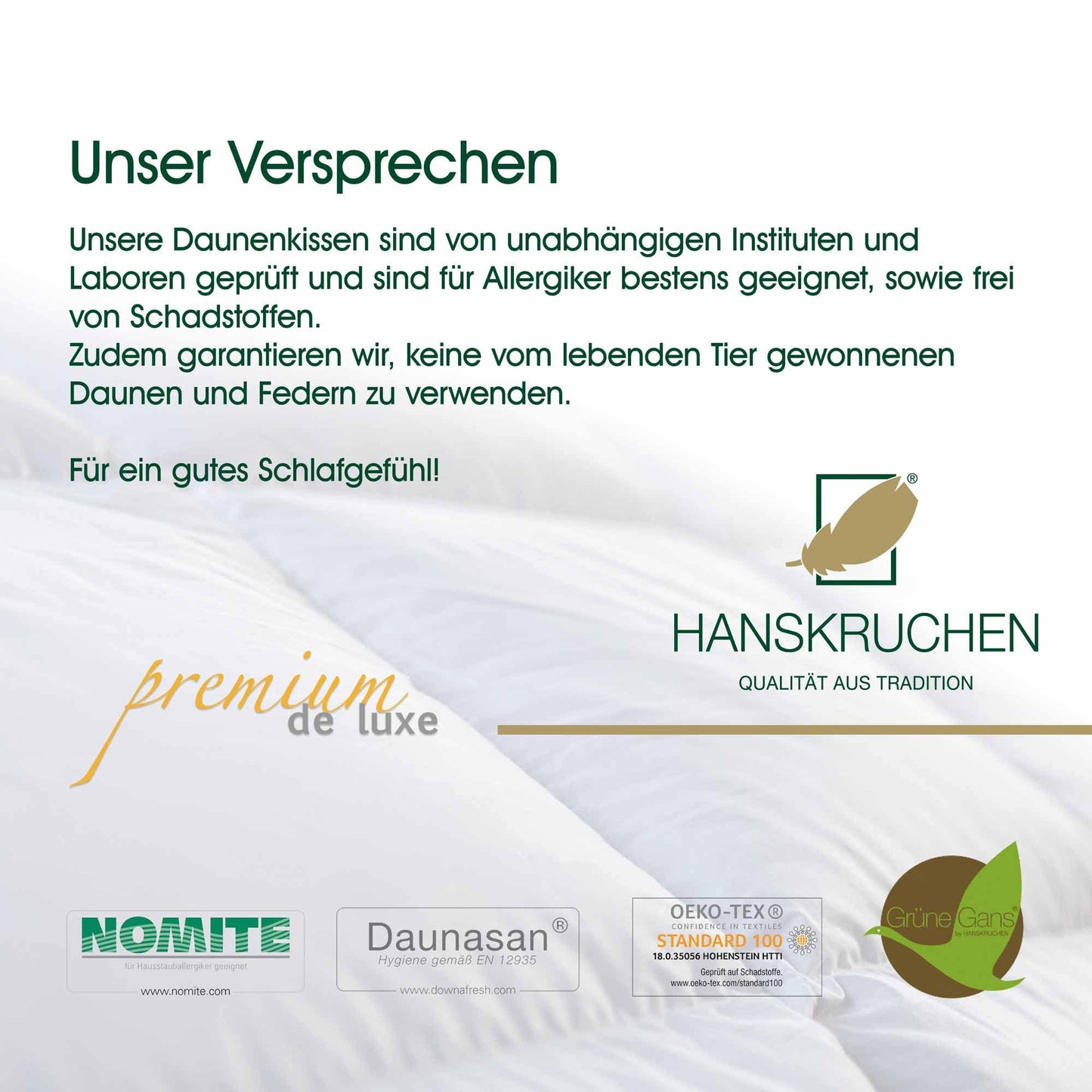HANSKRUCHEN® Premium de Luxe comforter pillow 40x40 cm - Made in Germany. Down cuddle pillow made of 100% cotton - 90% down 10% feathers, pillow for allergies [1 pack].