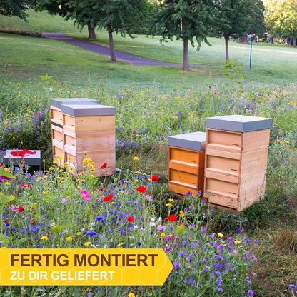 APIFORMES German Standard Size (DN10) - Weymouth Pine 10-Frame Hive