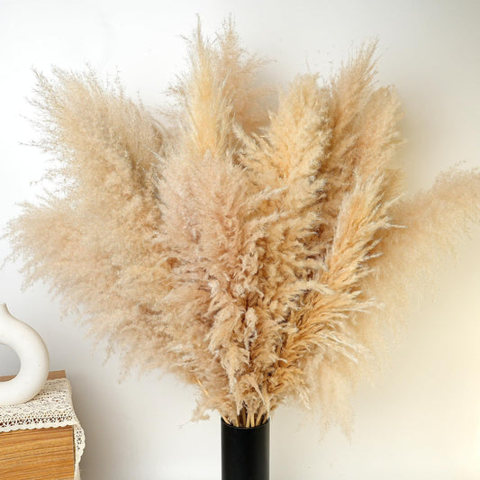 Dried Pampas Grass Decoration XXL, 10 pieces large pampas grass, reed grass bouquet for wedding boho flowers and home table decoration, rustic farmhouse party (100cm)