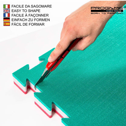 PROGAME Tatami Mat 4 cm Kit 8 pieces PERFORMANCE-HOME Green/Red 50x50 cm. Judomat.