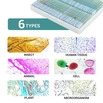 100 microscope slides specimens, microscope slides with biological samples, insects, plants, human cells for children, students, education, and scientific research.