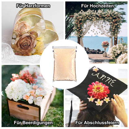 5.5 LBS Silica Gel Desiccant for Drying Flowers Silicate Dry Salt for Flowers DIY Silica Gel Reusable Drying Crystals with Color Change