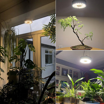 FECiDA LED Plant Lamp UFO1000, dimmable, growth lamp for indoor plants, plant lamp, seedling plant lamp, flowering.