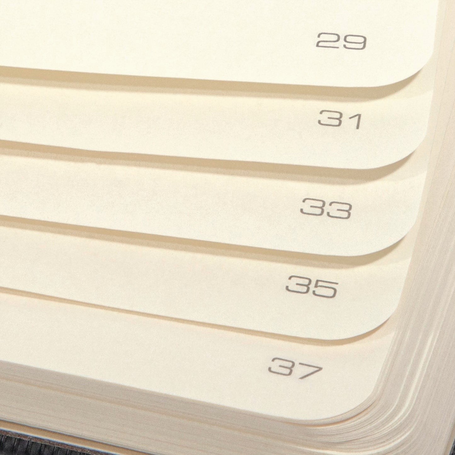 SIGEL CO308 Premium Notebook dotted, A4, Softcover, black - Conceptum