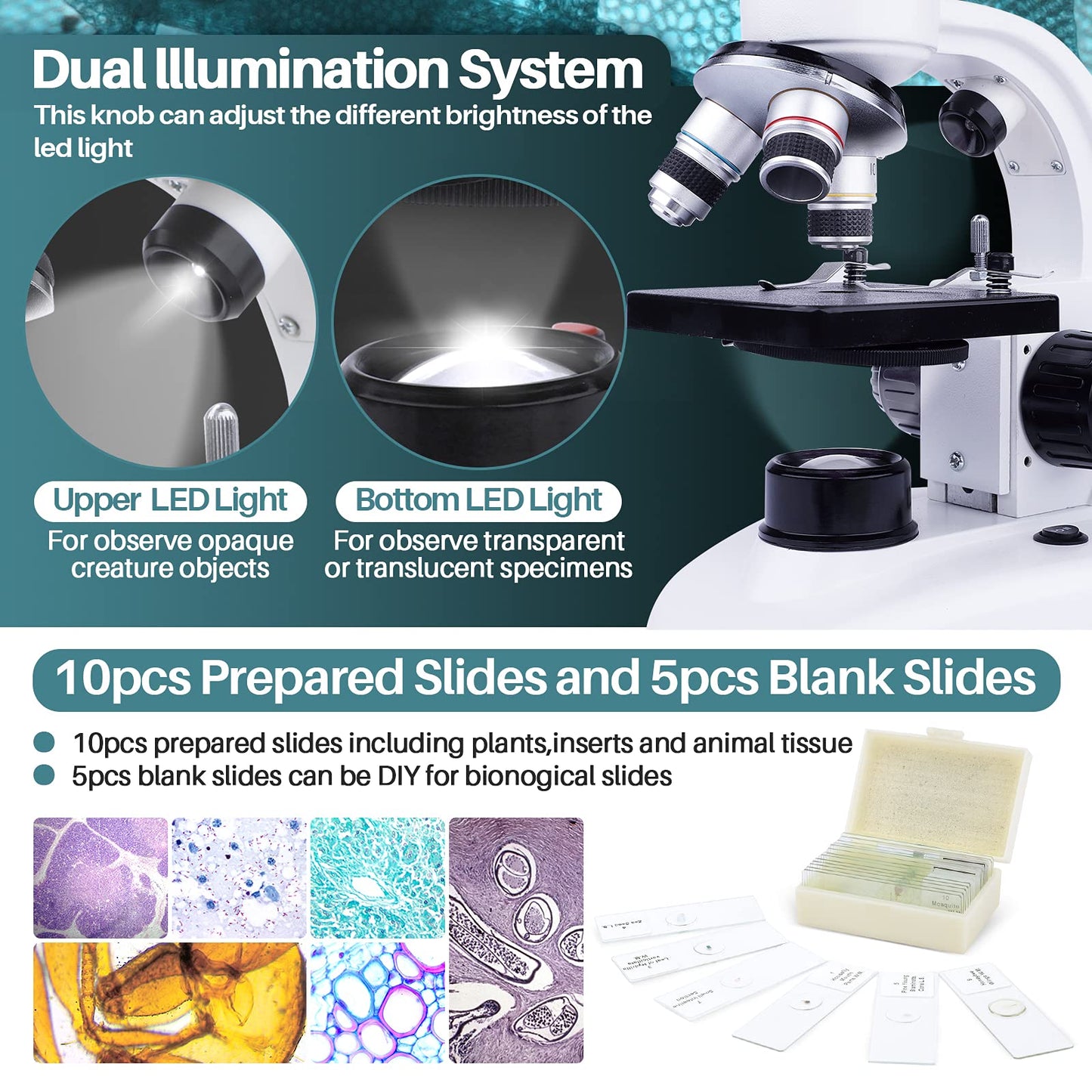 MAXLAPTER Binocular Microscope for Adults Kids, 40X-1000X Compound Microscope with Storage Bag Slides Phone Adapter and Accessories, for Teaching Laboratory Hobbyist Applications
