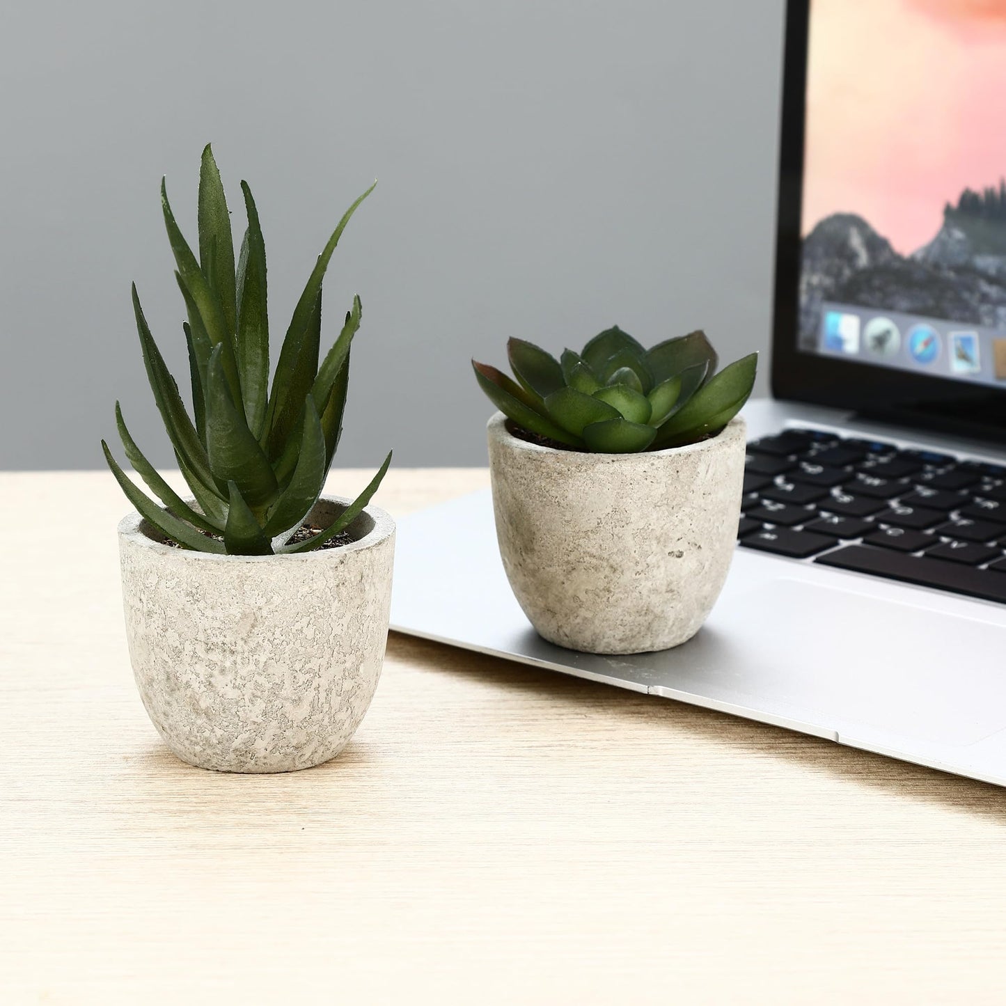 5 artificial plants, Mini Artificial Snake Tongue Plants, Agave Succulent, Eagle Claw Aloe, Artificial Plants for Bedroom Office Decoration