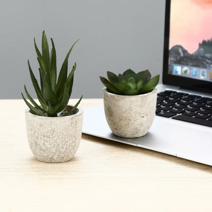 5 artificial plants, Mini Artificial Snake Tongue Plants, Agave Succulent, Eagle Claw Aloe, Artificial Plants for Bedroom Office Decoration