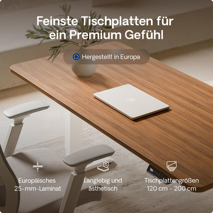 Desktronic HomePro Height Adjustable Desk 160 × 80 cm - Electric Desk with Two Electric Motors, Touchscreen Control, and Integrated USB-A and USB-C Charging Ports