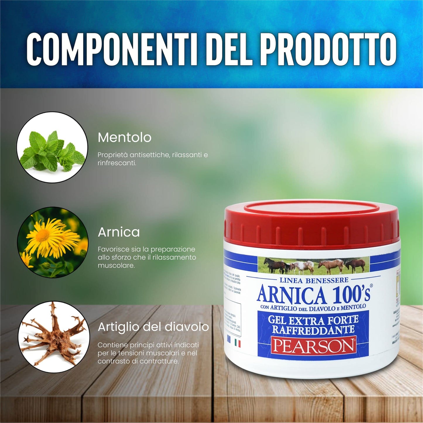 ARNICA 100'S - Arnica for horses, cooling gel Extra Forte by Pearson [500ml]. Arnica Gel Forte, cream with devil's claw and menthol. Regenerating and relaxing ointment.