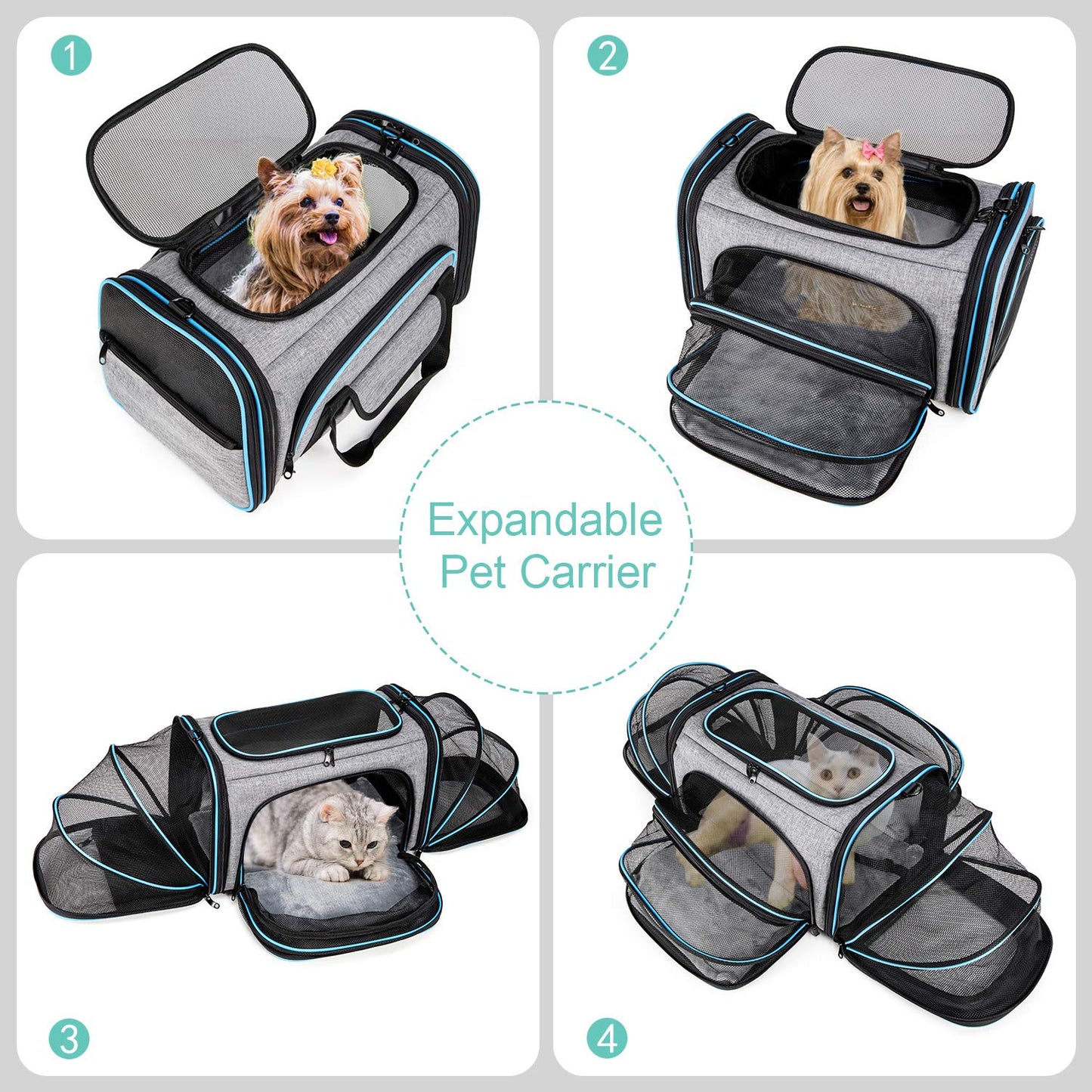 BERTASCHE Transport bag for cats Small dogs Foldable Cat carrier Transport box for plane Car Travel