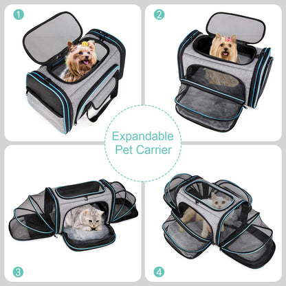 BERTASCHE Transport bag for cats Small dogs Foldable Cat carrier Transport box for plane Car Travel