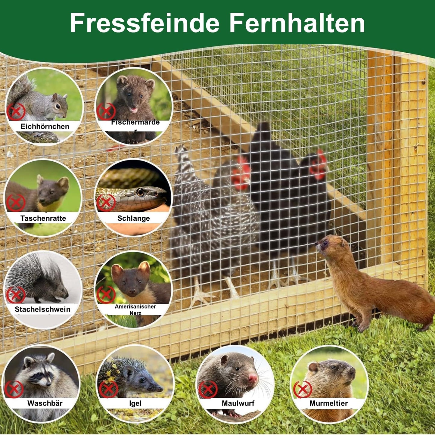 Amagabeli Wire Mesh 1m X 25m, Galvanized & Rustproof (12x12mm) - For Raised Bed, Aviary, Rabbit Fence, Mole Protection | Easy to Cut & Weatherproof
