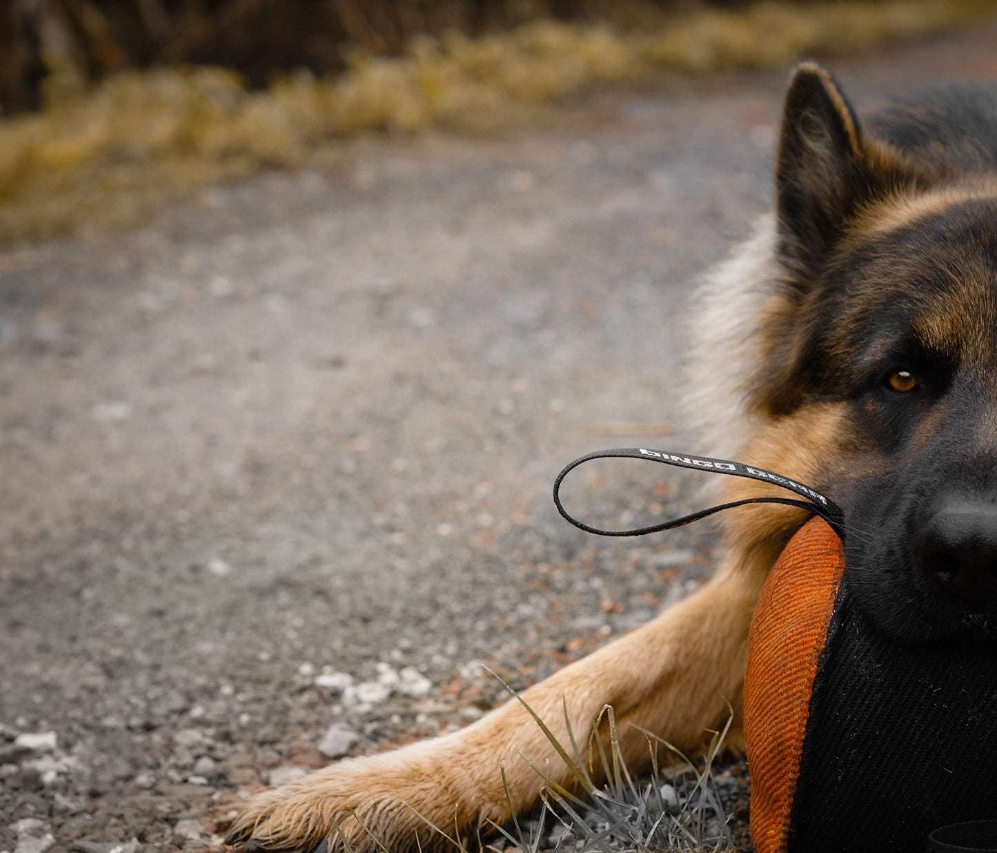 Dingo Gear Training Toy Ball 19 cm Black-Orange with Handle French Material Nylcott Training Game Fetch IGP Obedience S02800