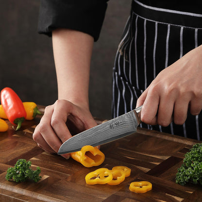 Wakoli Edis Damascus Knife Set 3-piece I Santoku Knife large and small plus Vegetable Knife Utility Knife made of 67 layers of Damascus steel with VG10 core 60±2 HRC I Pakka wood handle I Kitchen knife set in wooden box