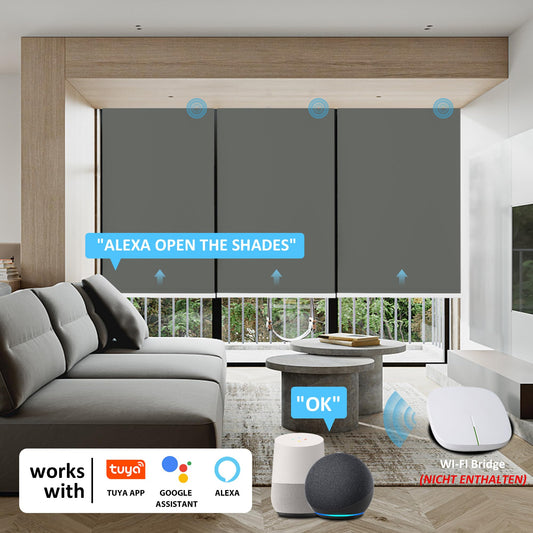HOMEDEMO Electric Blinds Rechargeable Blackout Roller with Motor & Remote Control, Dark Grey 45x110cm (WxH), Roller Inside without drilling clamp fix/with drilling, Smart Roller compatible with Alexa.