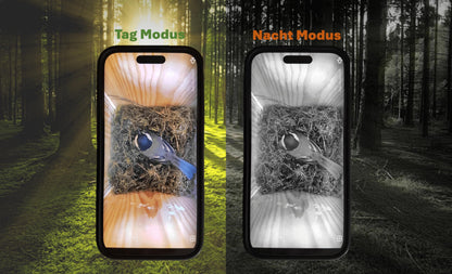 High-quality nesting box with camera | Live stream | PEFC® certified solid wood | Breeding box | Camera birdhouse with 3m power cable | Gift idea for the garden.