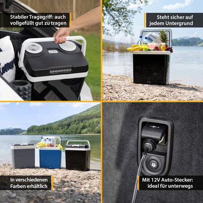 TZS First Austria - Cool box 32L electric, with 12V and 230V connection for car & outlet - Thermoelectric cool box cools & warms - Mini fridge with handle - For camping, festivals, travel - Black