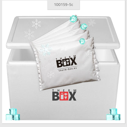 THERM-BOX Styrofoam box 61W with 5 cooling elements for cooler 61.5L Interior: 53x33x34cm Transport box Thermal container Reusable