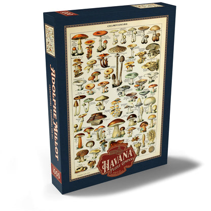 MyPuzzle Mushrooms - Vintage Art Poster, Adolphe Millot - Premium 1000 Piece Puzzle - MyPuzzle Special Collection by Havana Puzzle Company.