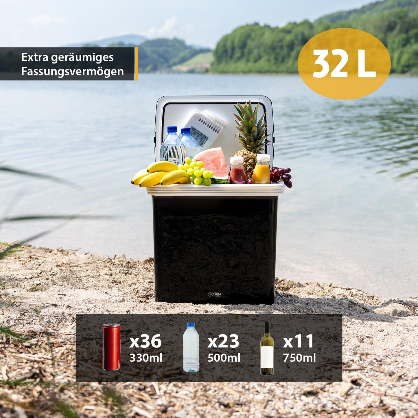 TZS First Austria - Cool box 32L electric, with 12V and 230V connection for car & outlet - Thermoelectric cool box cools & warms - Mini fridge with handle - For camping, festivals, travel - Black