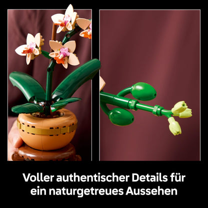 LEGO Botanicals Mini Orchid - Artificial flower set - Decor for living room or office - Gift for women and men - Fake plants - Building set for adults 10343