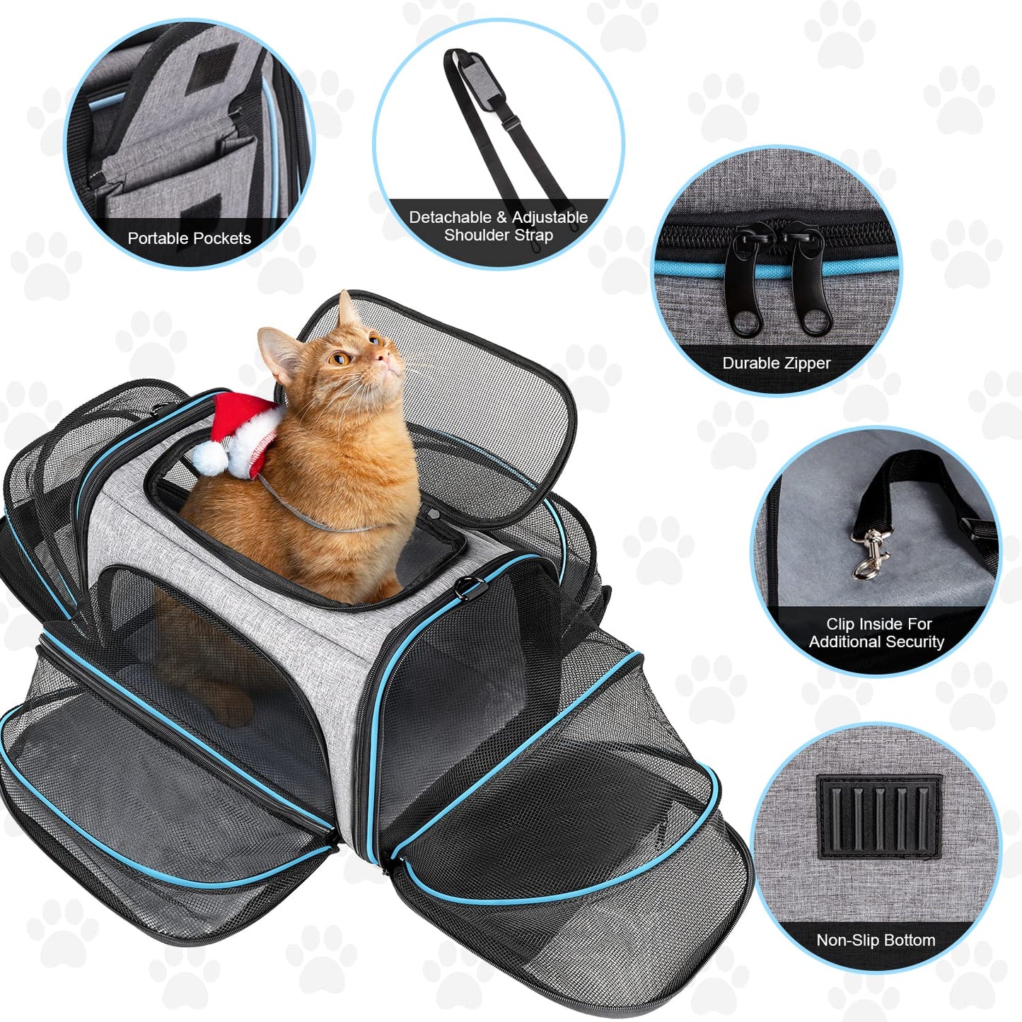 BERTASCHE Transport bag for cats Small dogs Foldable Cat carrier Transport box for plane Car Travel