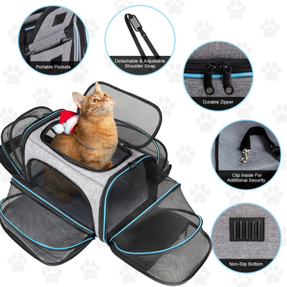 BERTASCHE Transport bag for cats Small dogs Foldable Cat carrier Transport box for plane Car Travel