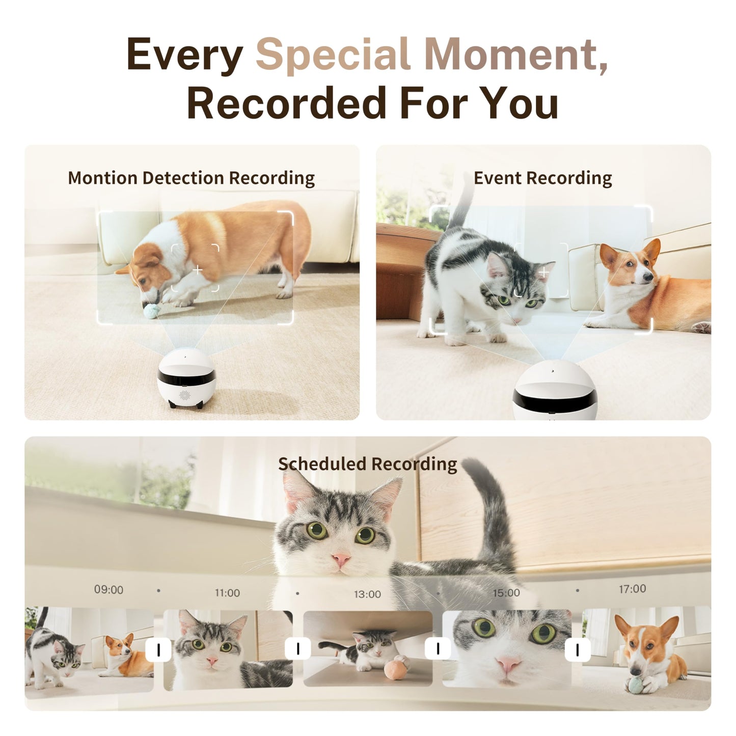 Enabot EBO ROLA Mini 2K Pet Camera Robot: Portable indoor camera with battery and phone app, one-touch call, 2-way audio, IR night vision, motion detection, video recording.