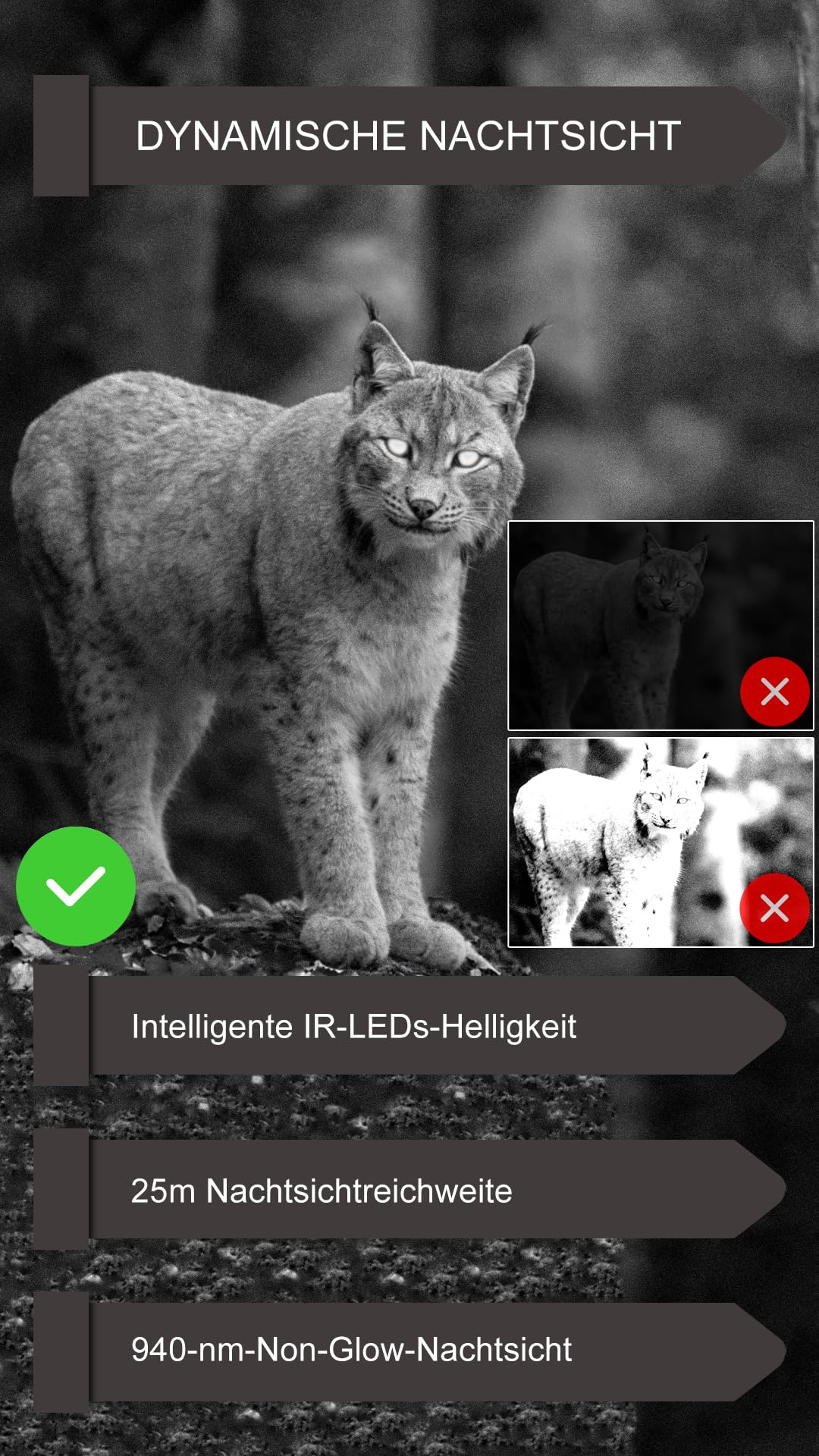 GardePro E6P Max wildlife camera with WiFi, rechargeable 8000mAh battery, built-in SD card, 64MP 1296P resolution, E6PMB game camera with motion sensor night vision, mobile transmission.