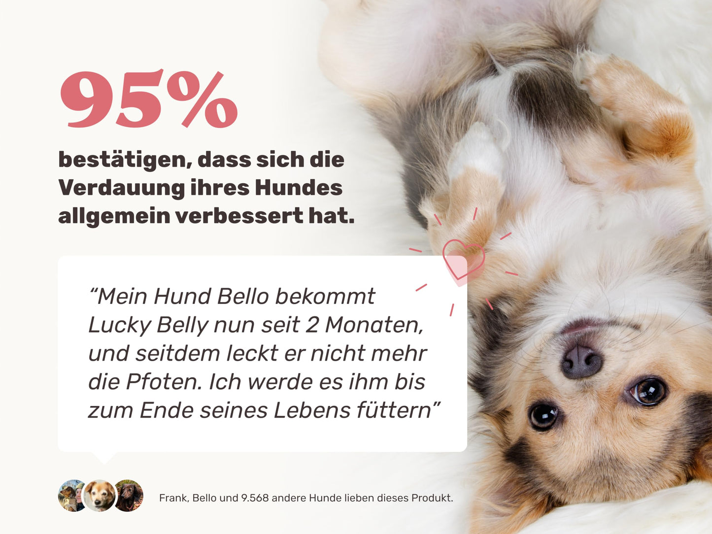 9-in-1 Probiotics for Your Dog - Lucky Belly 440 Drops (1.3kg) by mammaly - For stomach and digestive issues for gastrointestinal health, digestive snacks for grass eating and stool-eating treats with chicken.