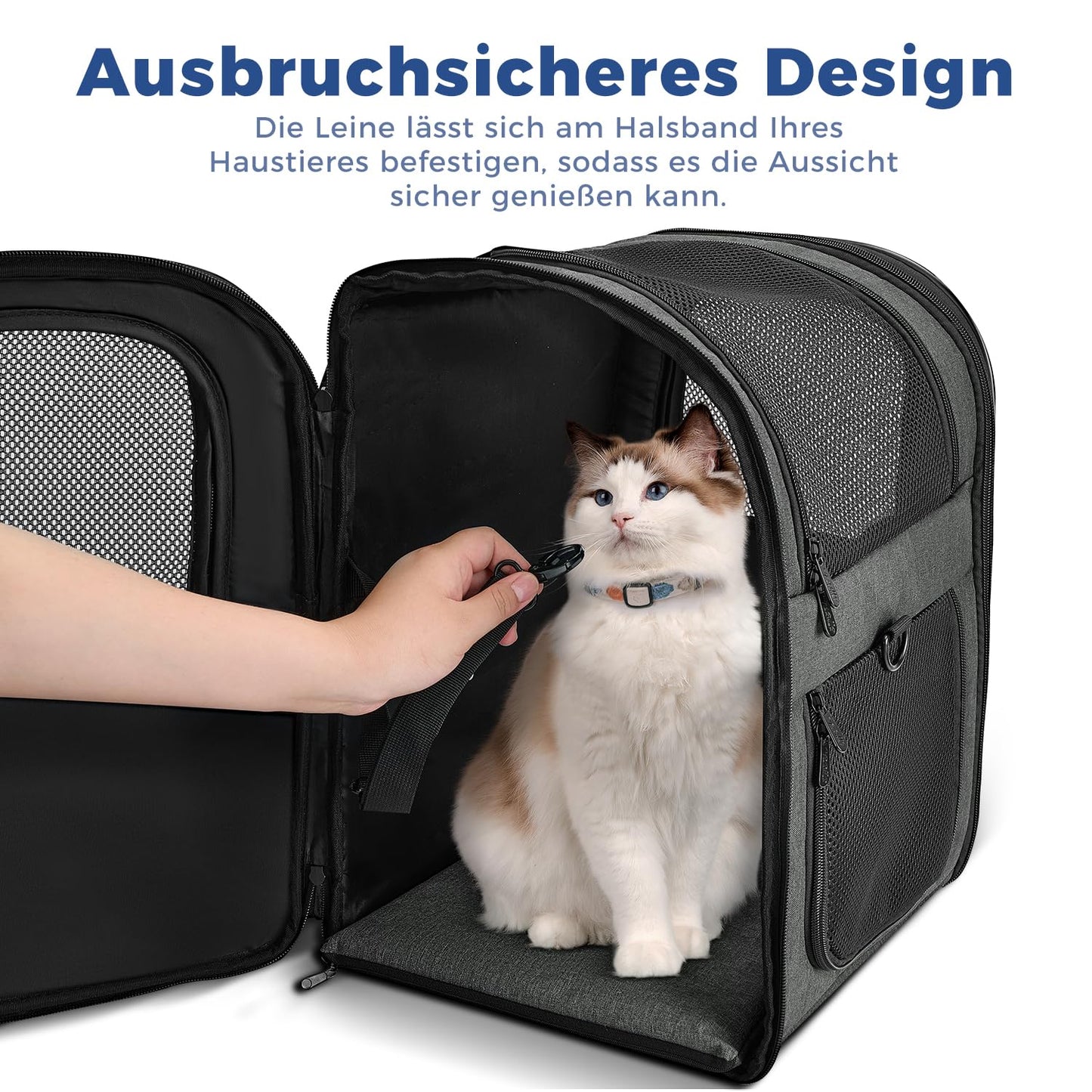 Apollo Walker Dog Backpack and Cat Backpack for Small Pets (2-15kg capacity) - Padded back support dog carrier Breathable mesh pet backpack for hiking, traveling, outdoor activities Grey