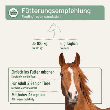 AniForte African Devil's Claw for Horses 1 kg - Natural joint powder for horses, Devil's claw powder for joints, tendons, & ligaments, for agility.