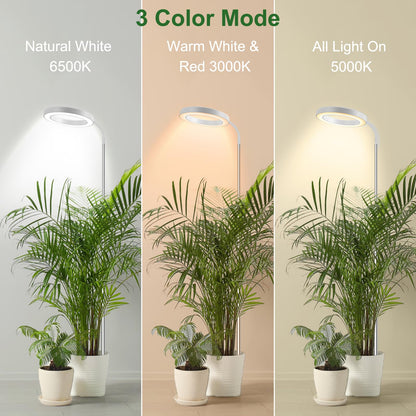 wolezek Plant Lamp LED Full Spectrum, 80 LEDs 6500K Grow Light, 160cm Large Grow Lamp, 3 Colors Plant Light with 360° Gooseneck, 6/12/16H Timer, 5 Brightness, Adjustable Height, White