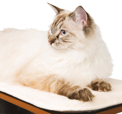 Catit, 52046, Vesper AA8 Cat Furniture High Base, black, cube cave with two platforms, 1 piece (1 pack)