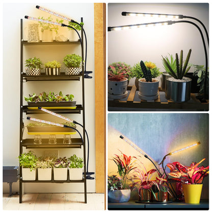 2 Heads + 2 Heads Plant Lamp LED, Full Spectrum Plant Light, Plant Light with Timer, 3 Color Modes and 10 Dimmable Levels, Growth Lamp for Indoor Plants, Houseplants