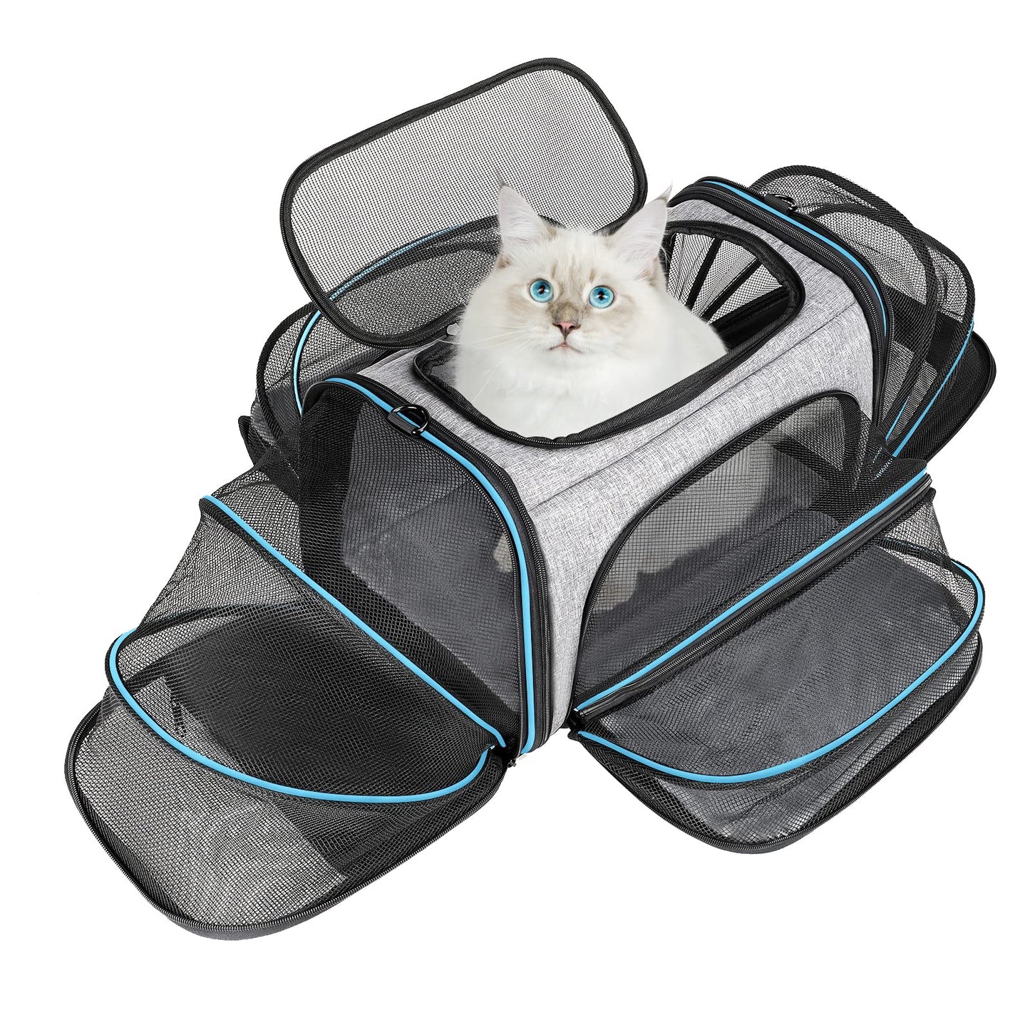 BERTASCHE Transport bag for cats Small dogs Foldable Cat carrier Transport box for plane Car Travel