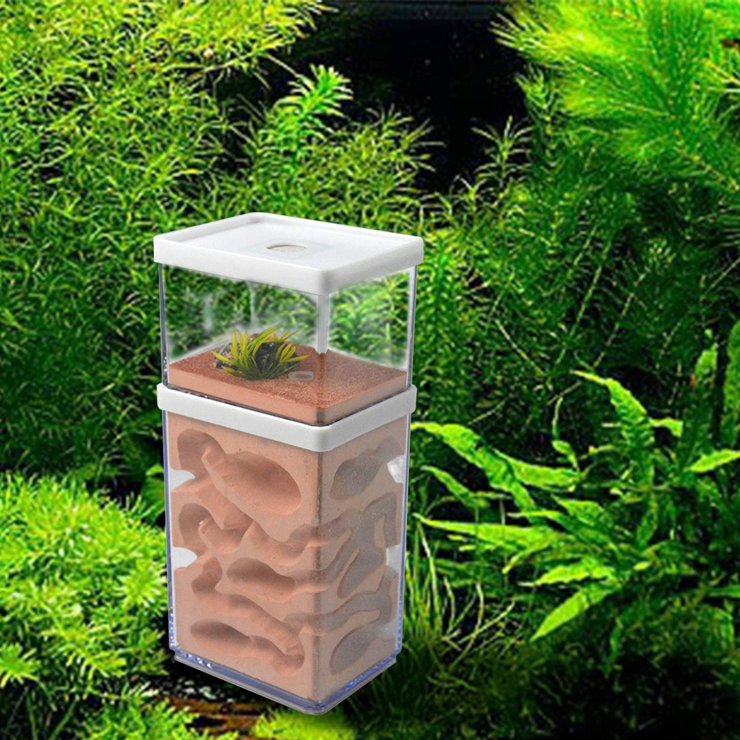 aleawol Natural Ant Farm Ant Nest Formicarium made of plaster Transparent Ant House Ant Breeding Box Ant Terrarium House Ant Farm Ant Nest Habitat