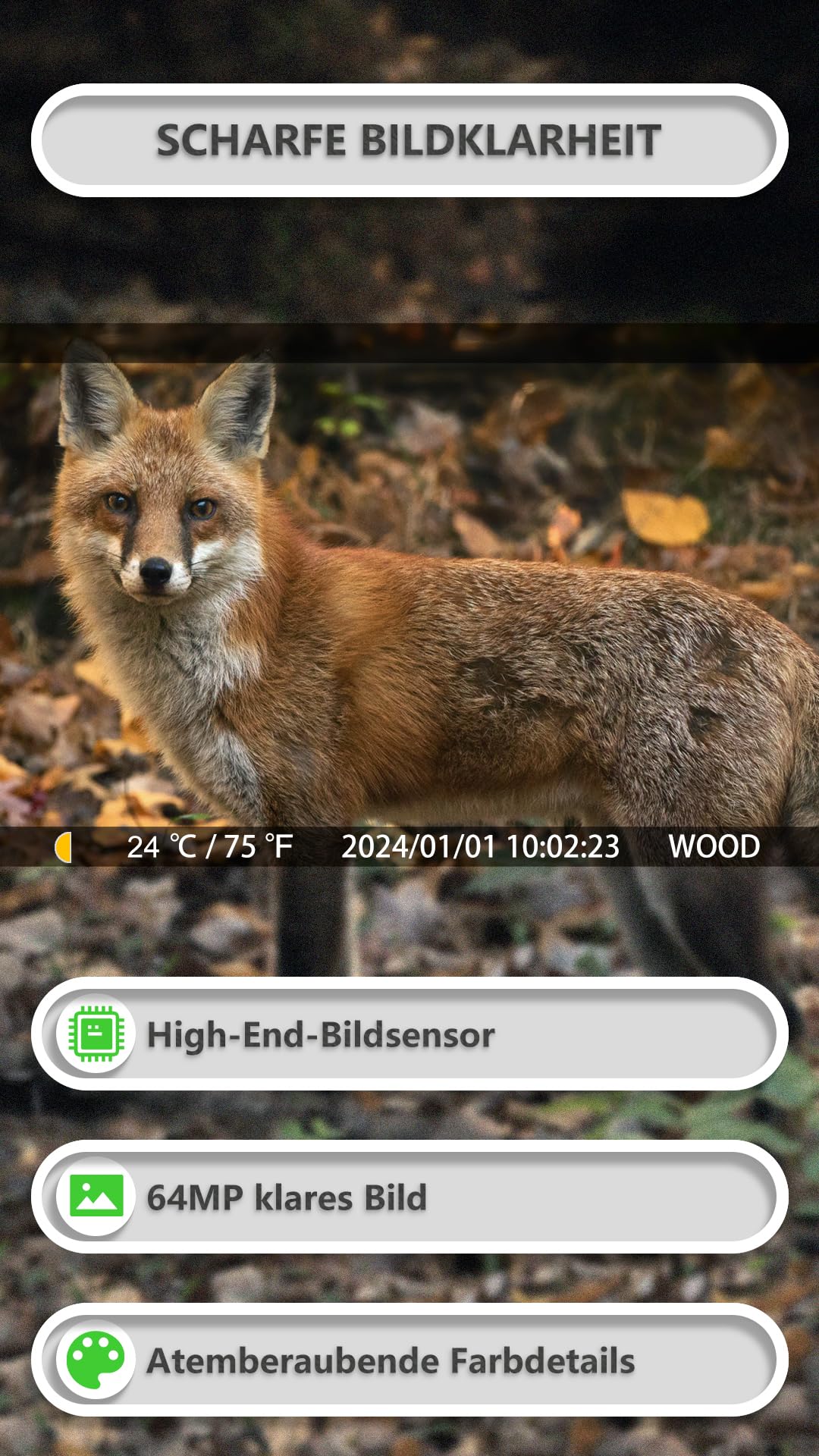 GardePro E8P wildlife camera with WiFi, rechargeable 8000mAh battery, 64MP 1296P resolution, motion sensor night vision, mobile transmission, WiFi, app.