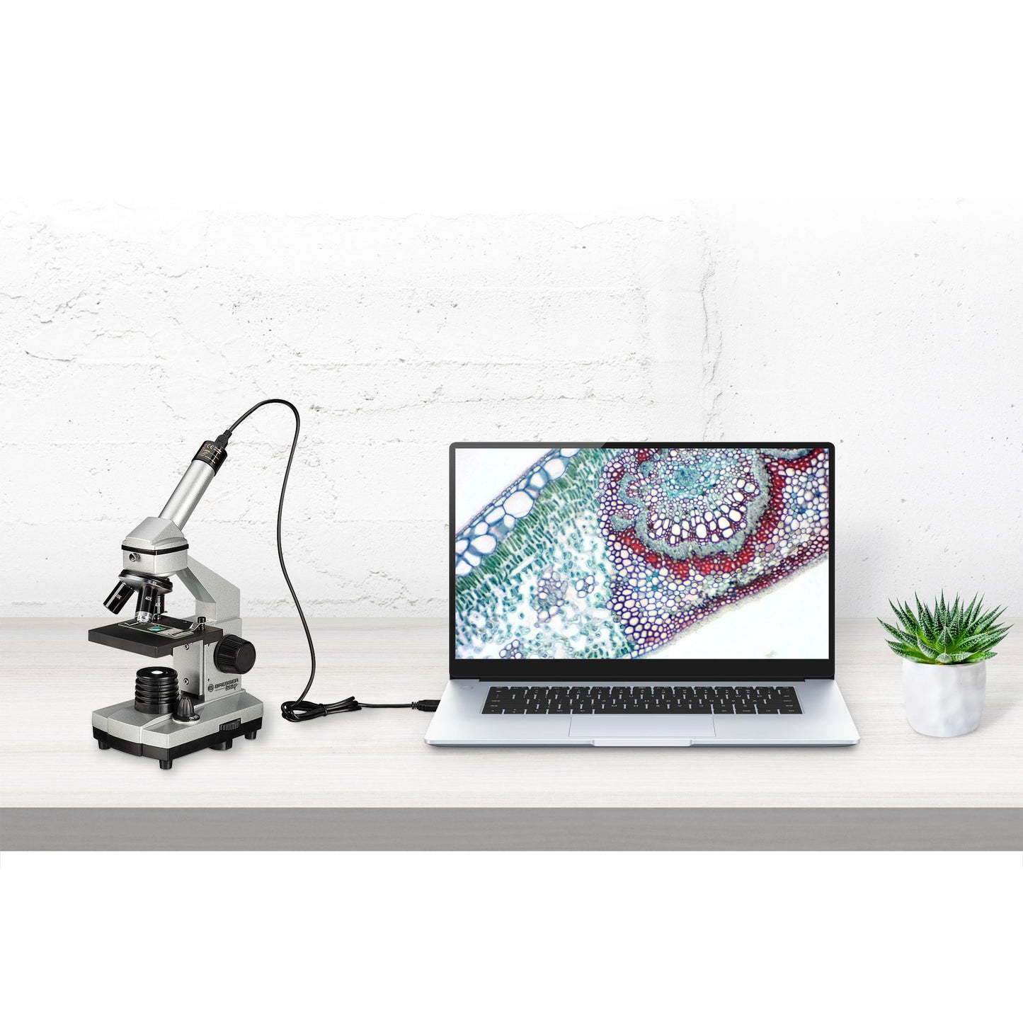 Bresser Junior Microscope Set Biolux DE 40x-1024x for kids and adults with high magnification, including USB camera and extensive accessories for the perfect start into the microcosm.